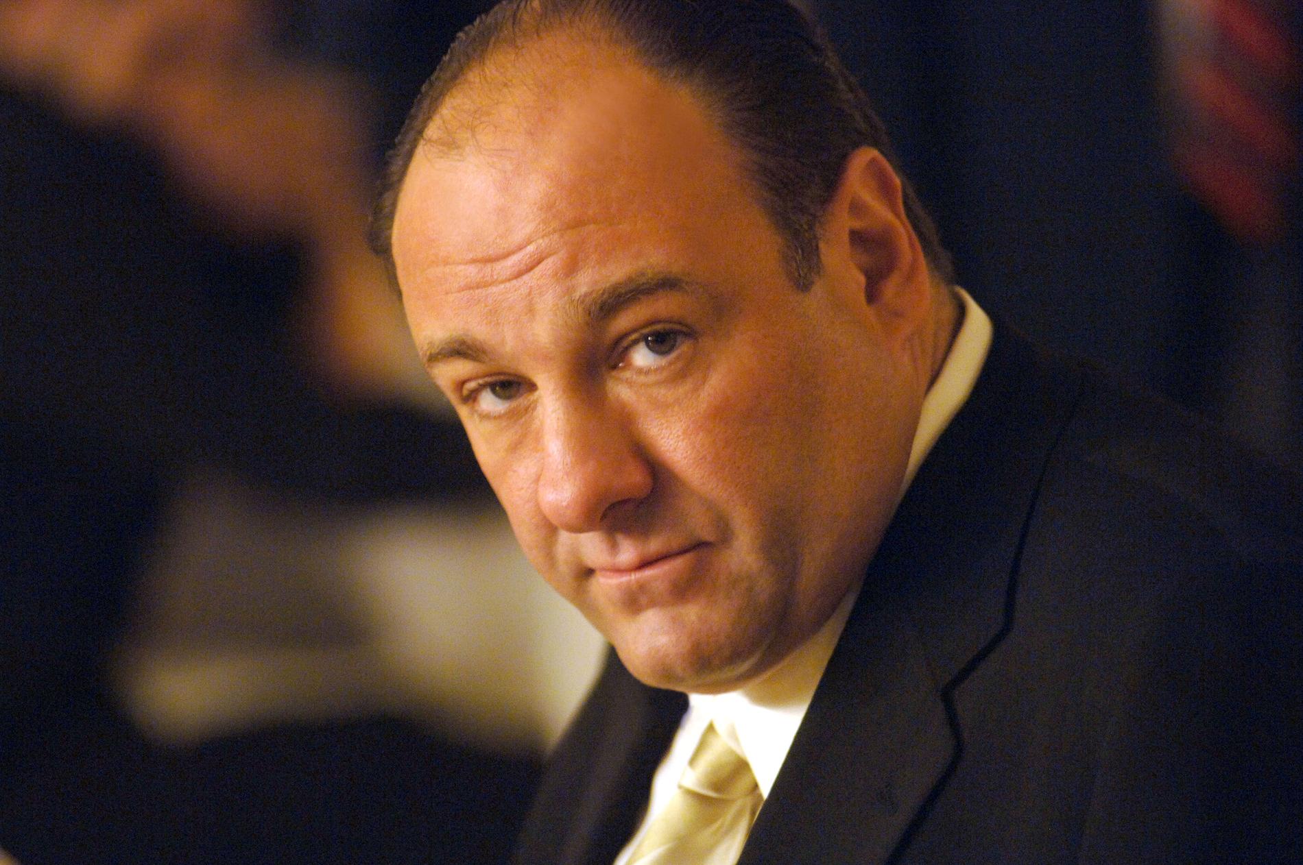 James Gandolfini som Tony Soprano.