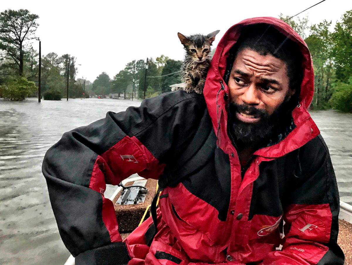 Robert Simmons Jr och hans kattunge Survivor räddas undan översvämningarna i New Bern.