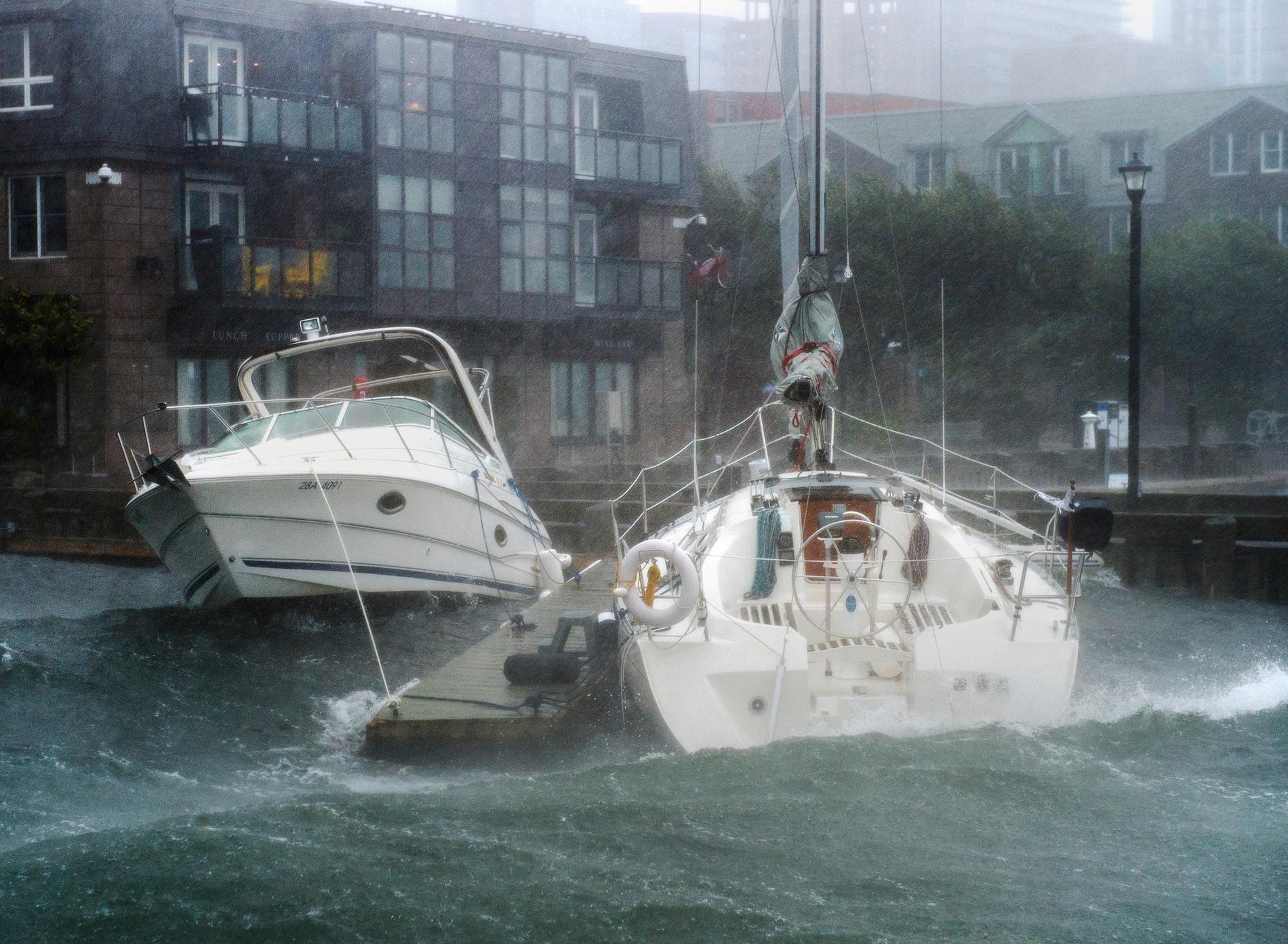 Höga vågor längs med kustlinjen i Halifax, Nova Scotia. Enligt väderprognoserna ökar orkanen Dorian i styrka när den når Kanada.