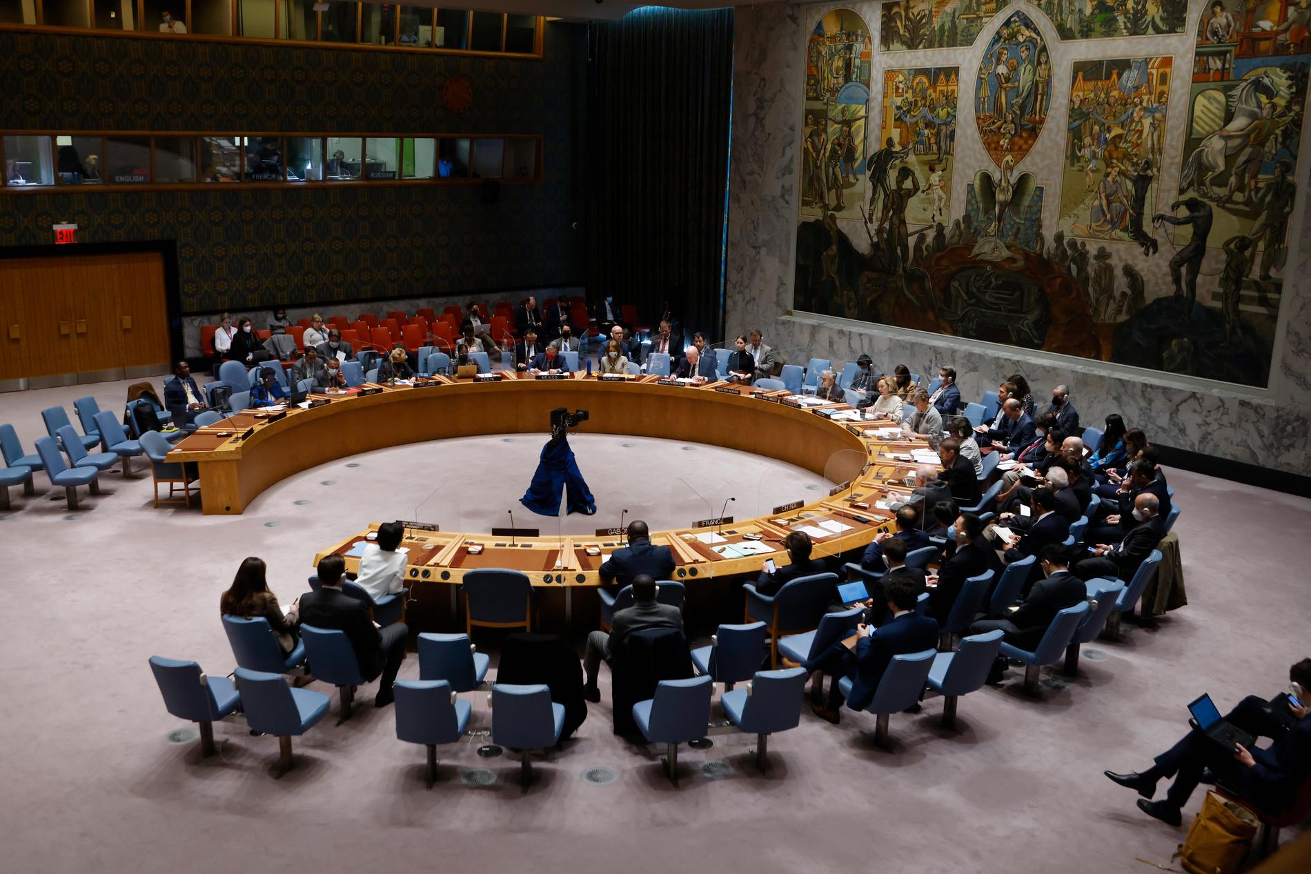 Ett formellt klagomål kommer att lämnas in till FN:s säkerhetsråd. Arkivbild.