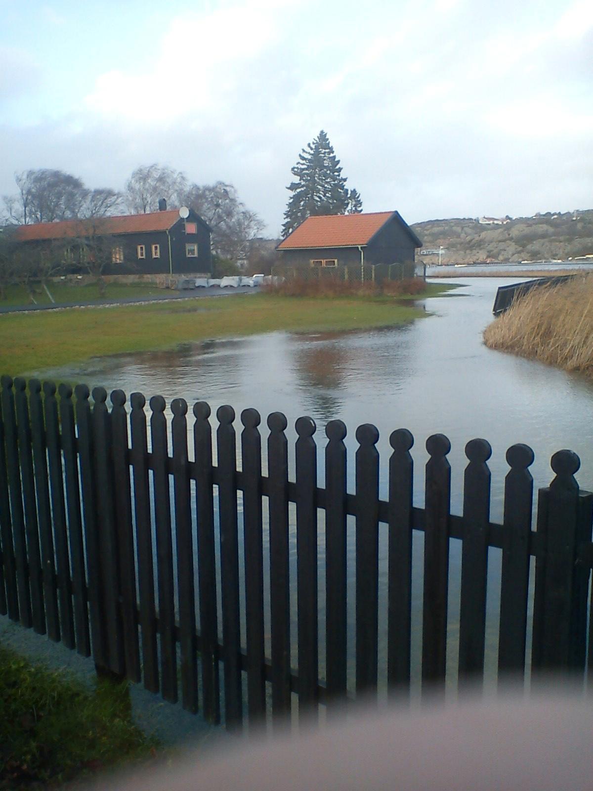 Översvämmad tomt I Kullavik söder om Göteborg har havsvatten trängt upp på tomter nära havet.