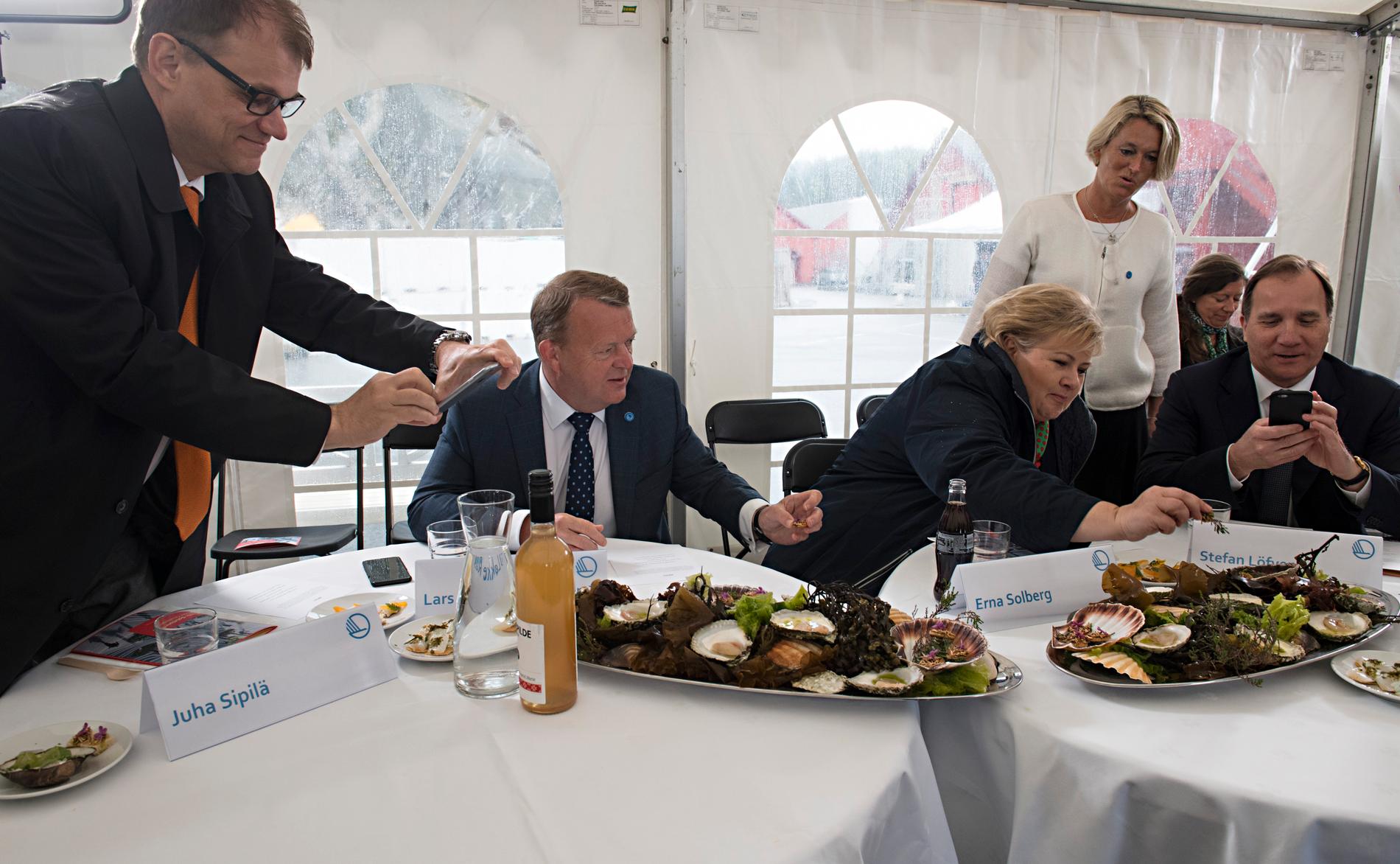Nordiskt samarbete: Statsministrar från Finland (Juha Sipilä), Danmark (Lars Løkke Rasmussen), Norge (Erna Solberg) och Sverige (Stefan Löfven) studerar matutbudet under ett toppmöte i Bergen förra året.
