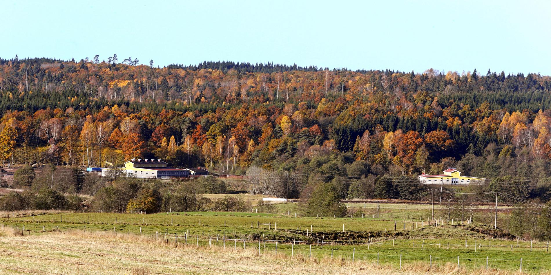 Robert Berghs gård i Hajom är ute till försäljning.
