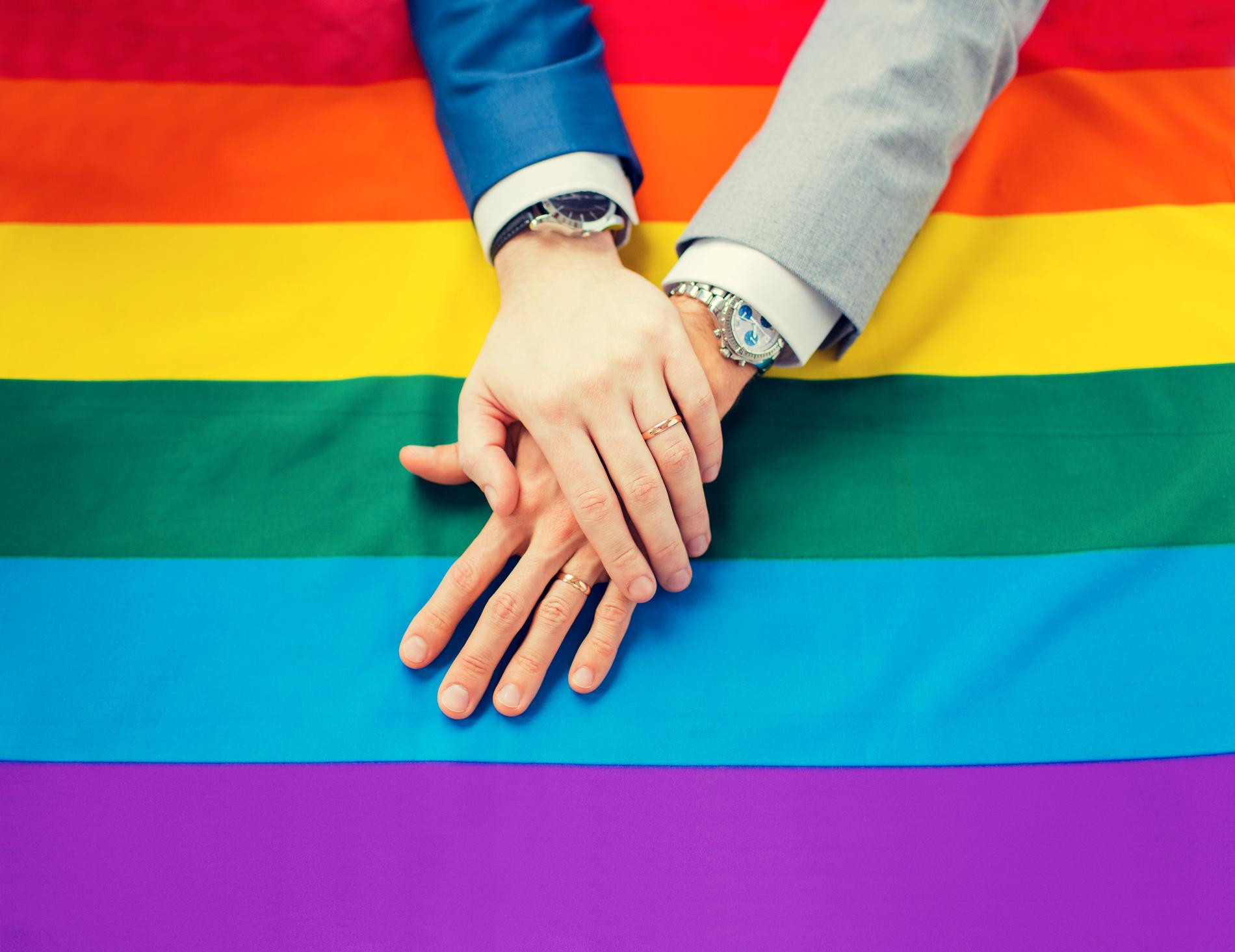 ”Diskriminering med bakgrund av sexuell orientering och könsidentitet är ett problem i Ukraina”, skriver danska utrikesdepartementet.