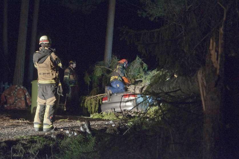 Ett träd blåste ner över en personbil i Åby, utanför Norrköping.