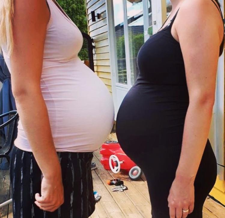 Systrarna var gravida samtidigt. 