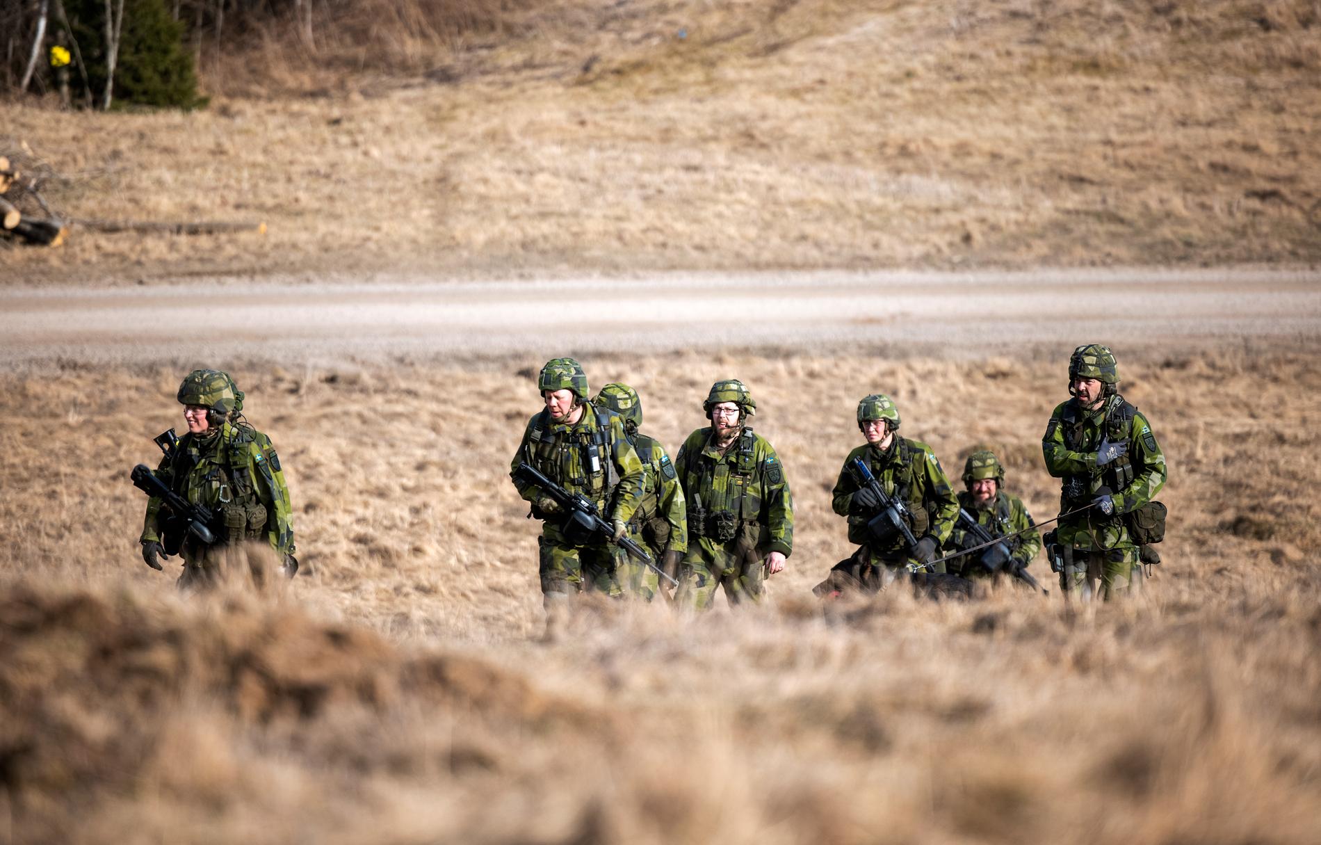 I en rapport från FOI, Totalförsvarets forskningsinstitut, kan cirka hälften av svenskarna tänka sig att gå ut i strid om Sverige angrips. 