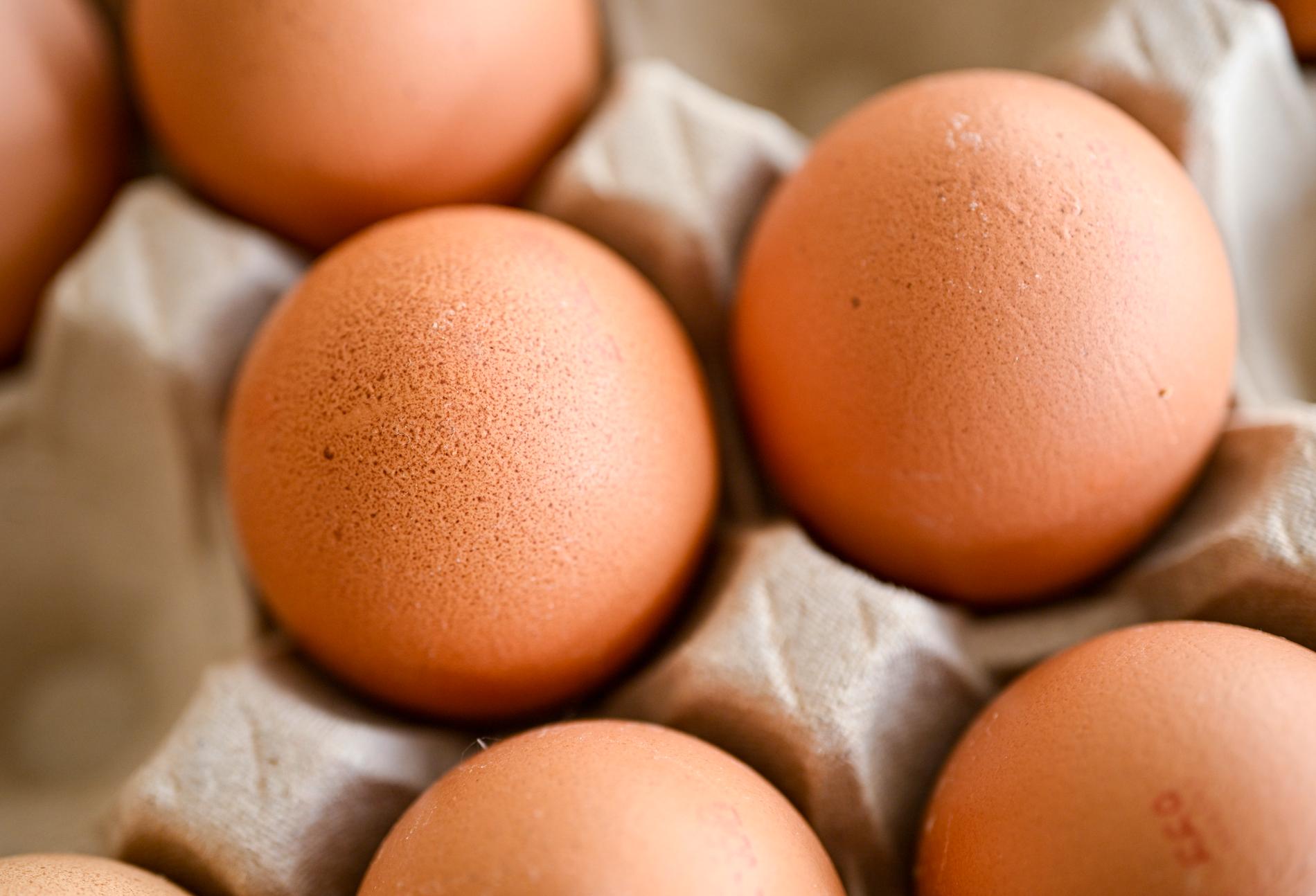 Ägg stoppas efter att salmonellabakterier hittats. Arkivbild.