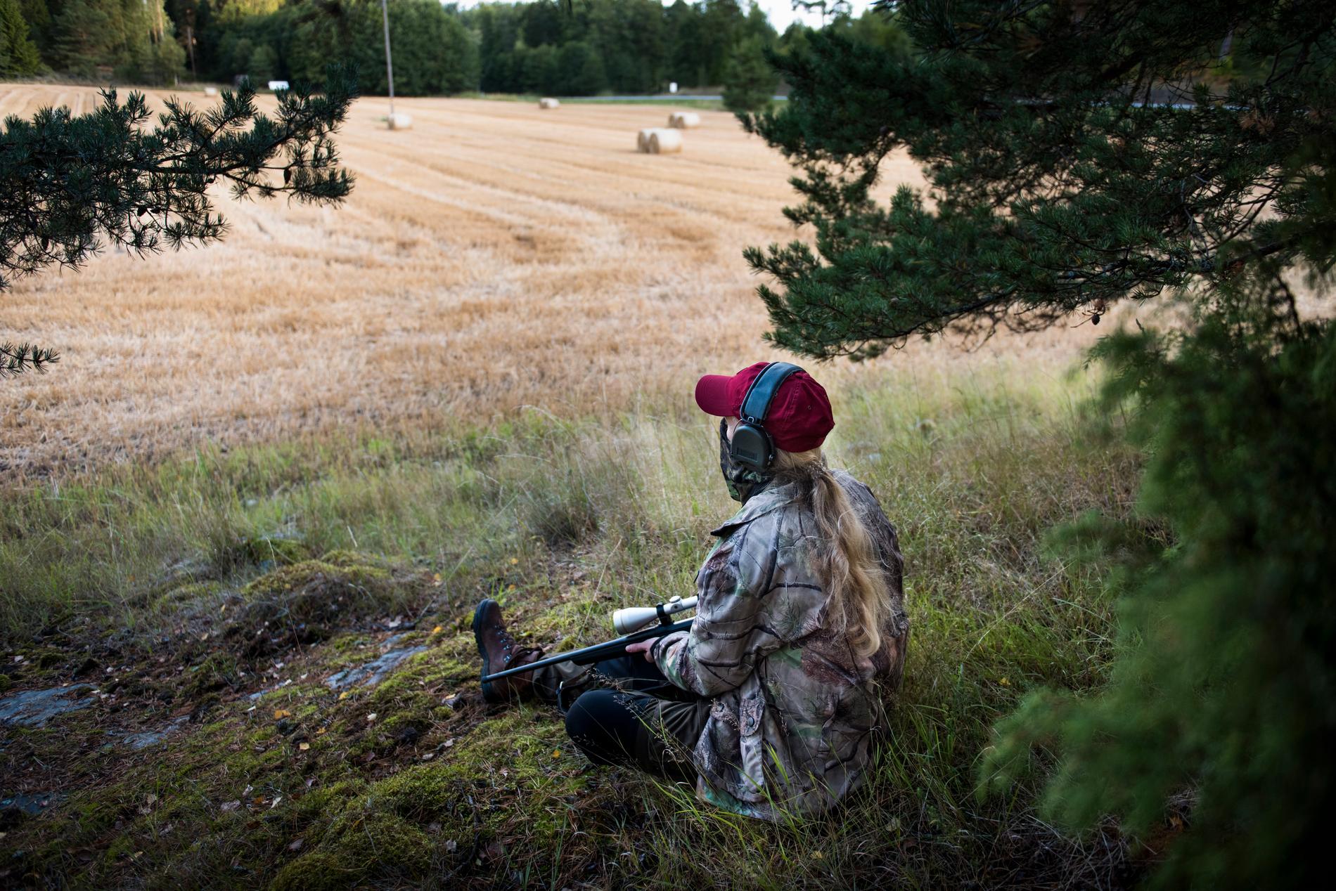 Kalle Zackari Wahlström menar att man får vara beredd  på att jakt tar tid och att det inte är helt okomplicerat att skjuta vilt.