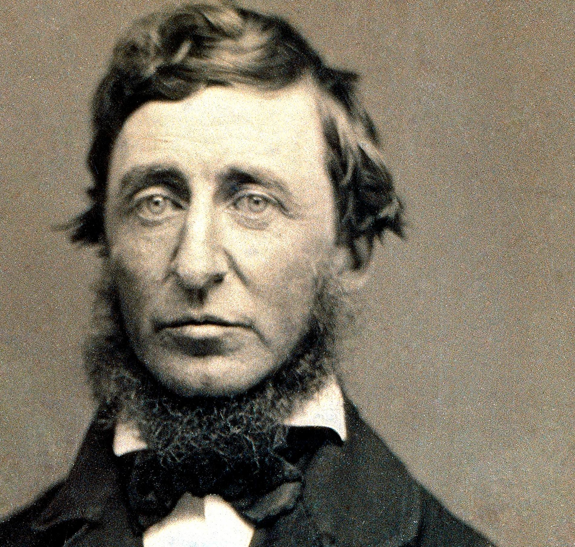 Henry David Thoreau var amerikansk författare, filosof och mystiker. Propagerade i sina skrifter för hur människan borde leva i samklang med naturen och Gud. Thoreaus tankar var viktiga för Gandhi och har även haft stor betydelse för vår tids miljörörelser.  
