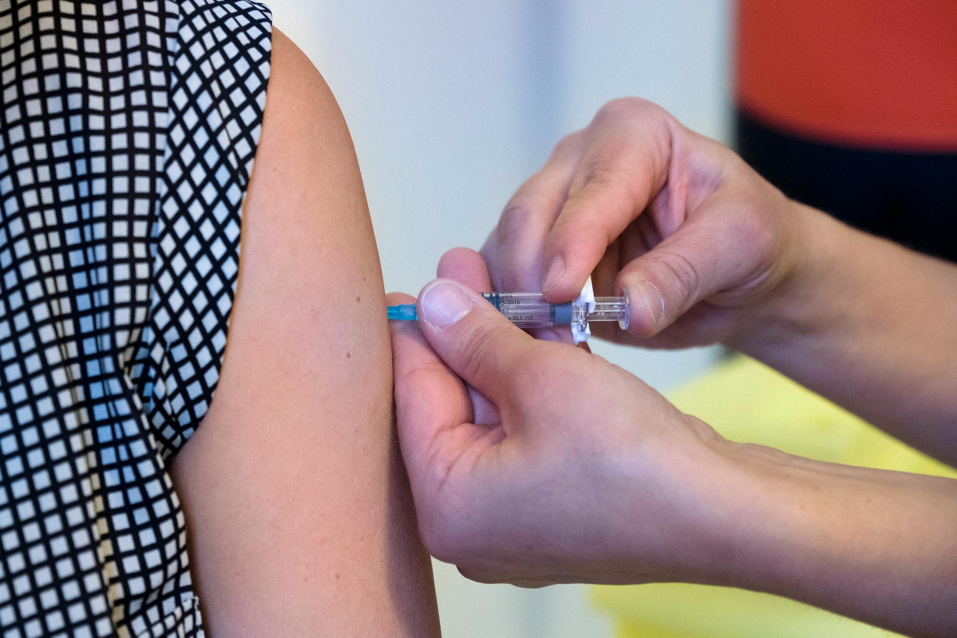 Allt fler svenskar vaccinerar sig mot fästingburen TBE. Arkivbild.