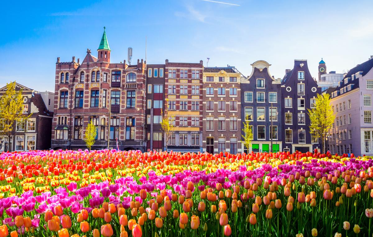 Njut av tulpanerna i Amsterdam.