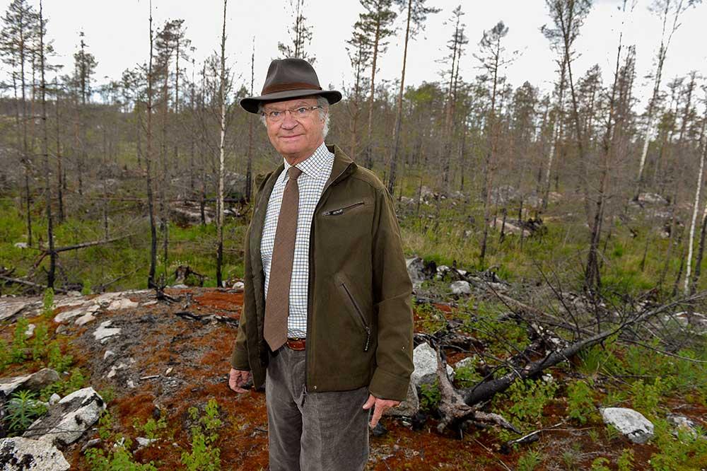Efter den stora skogsbranden 2014 besökte kungen det eldhärjade området i Västmanland tillsammans med Världsnaturfonden. Branden var den största skogsbranden i Sverige i nutid.