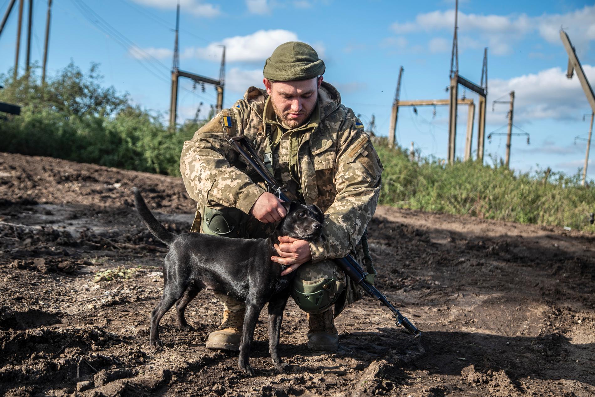 En ukrainsk soldat klappar en hund i det nyligen återtagna området nära Izium, Ukraina, september, 2022.