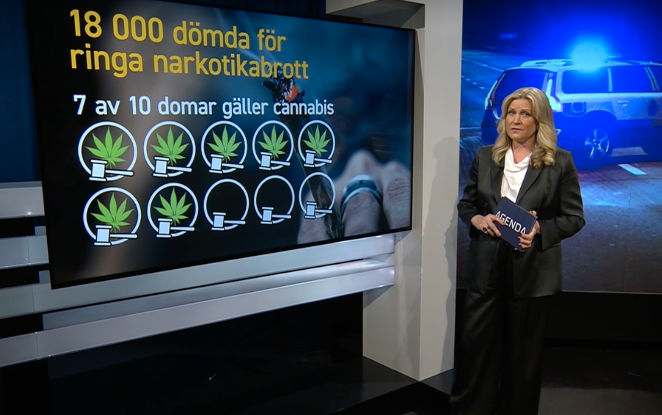 Camilla Kvartoft i SVT:s Agenda.