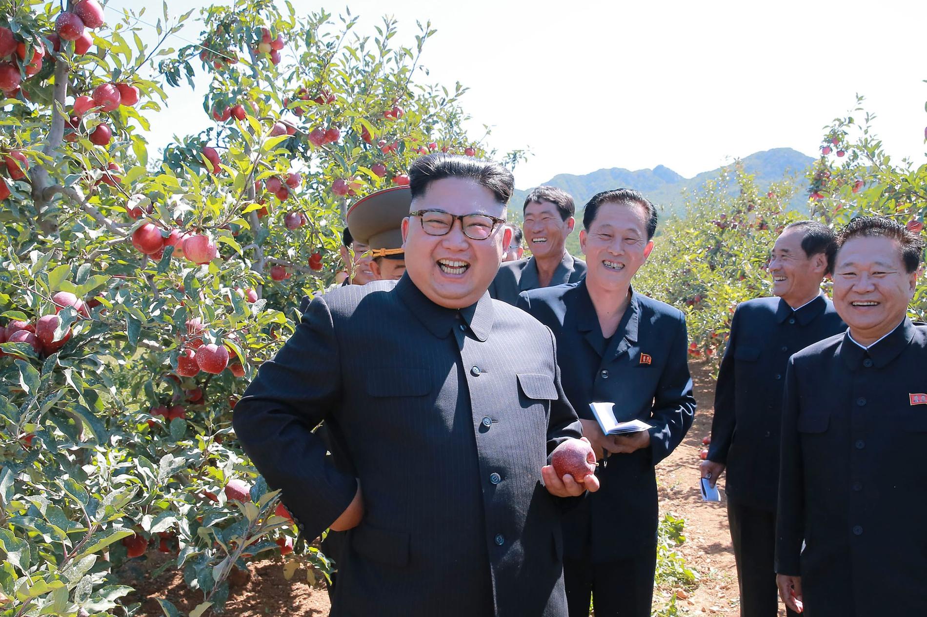 Tidigare idag skickade den statliga nordkoreanska nyhetsbyrån KCNA ut bilder på Kim Jong-Un när han besöker en fruktodling i södra delen av Hwanghae-provinsen.