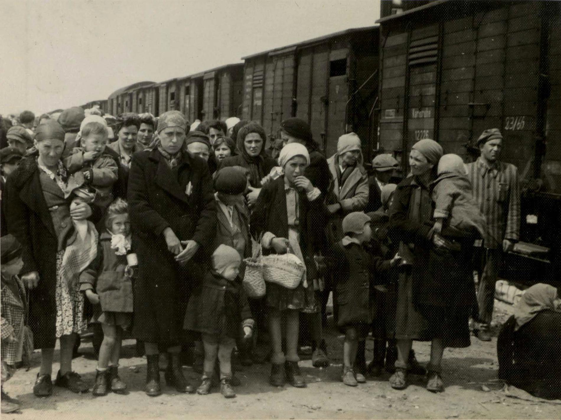 Bild från maj 1944. Judiska kvinnor och barn som deporterats från Ungern och separerats från sina män uppställda på led utanför koncentrationslägret i Auschwitz.