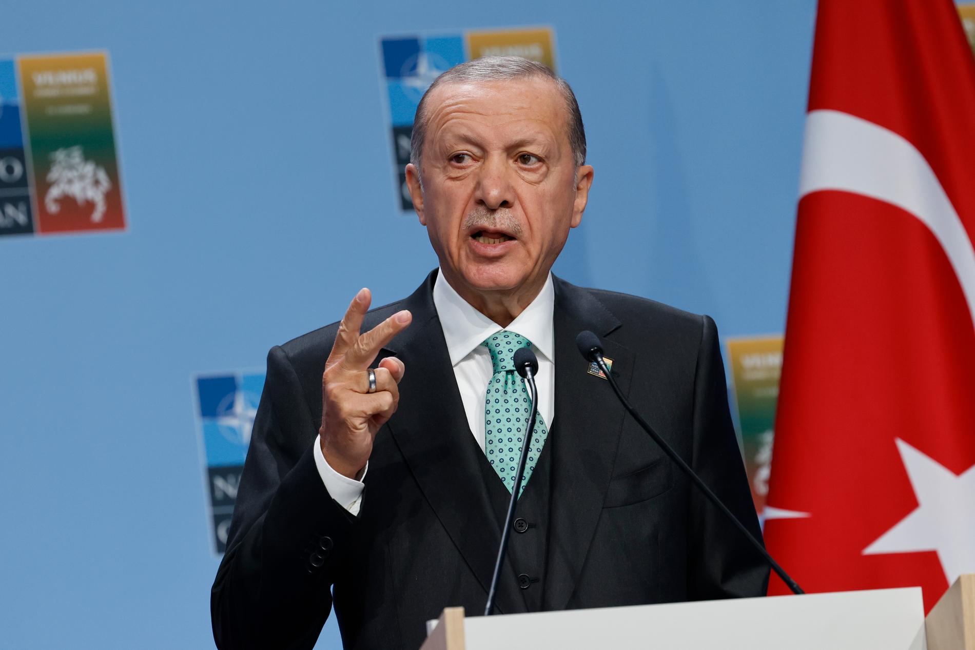Turkiets president Recep Tayyip Erdogan på Natomötet i Vilnius. 