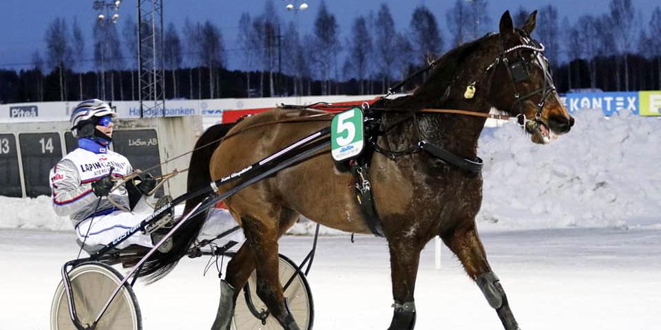 Kusken Kari Alapekkala vann med nästintill ospelade Mr Golden Quick (GS75–1). En häst som vinnaren fick med tack vare kompisens personnummer. 