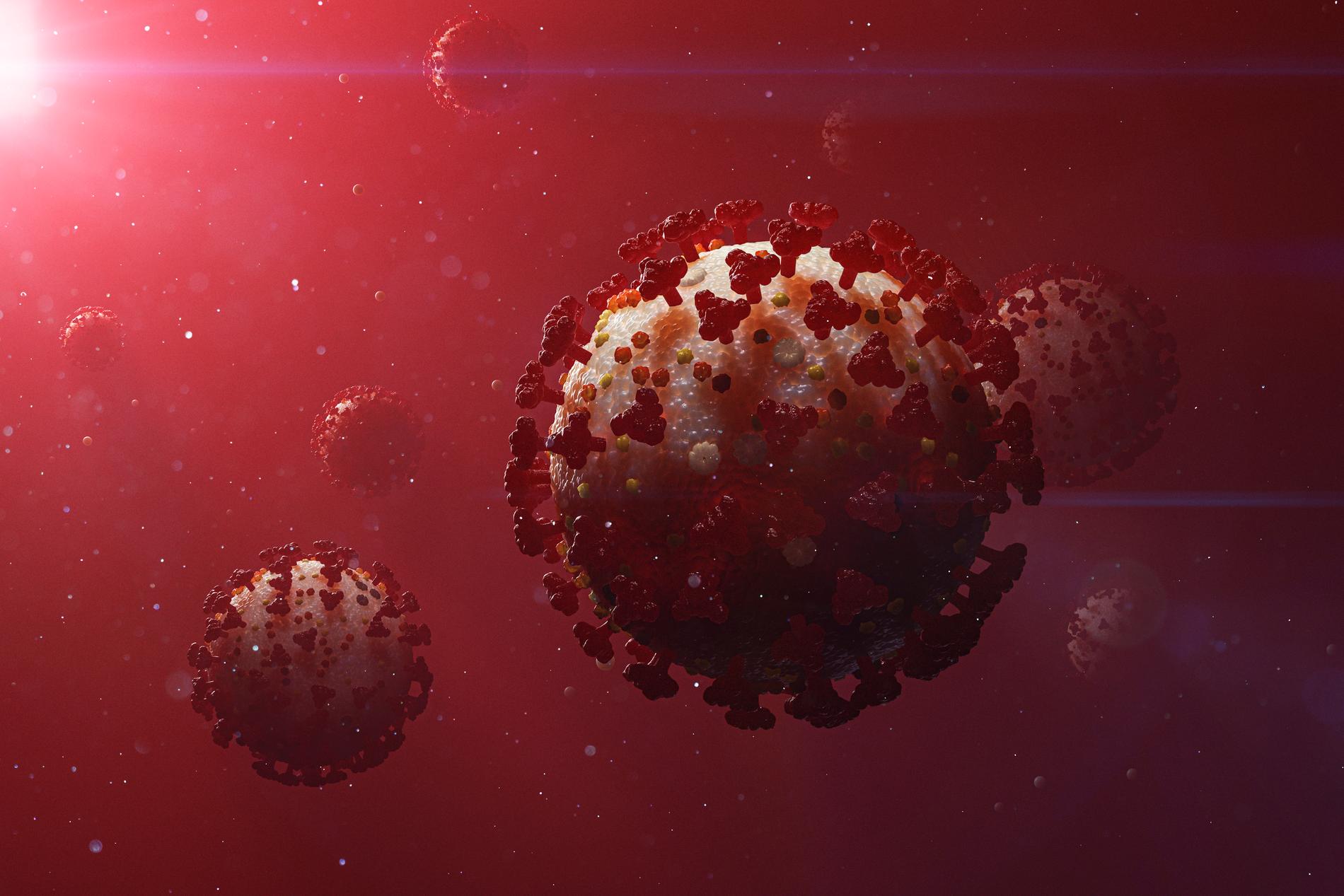 Illustration av coronaviruset. Arkivbild.
