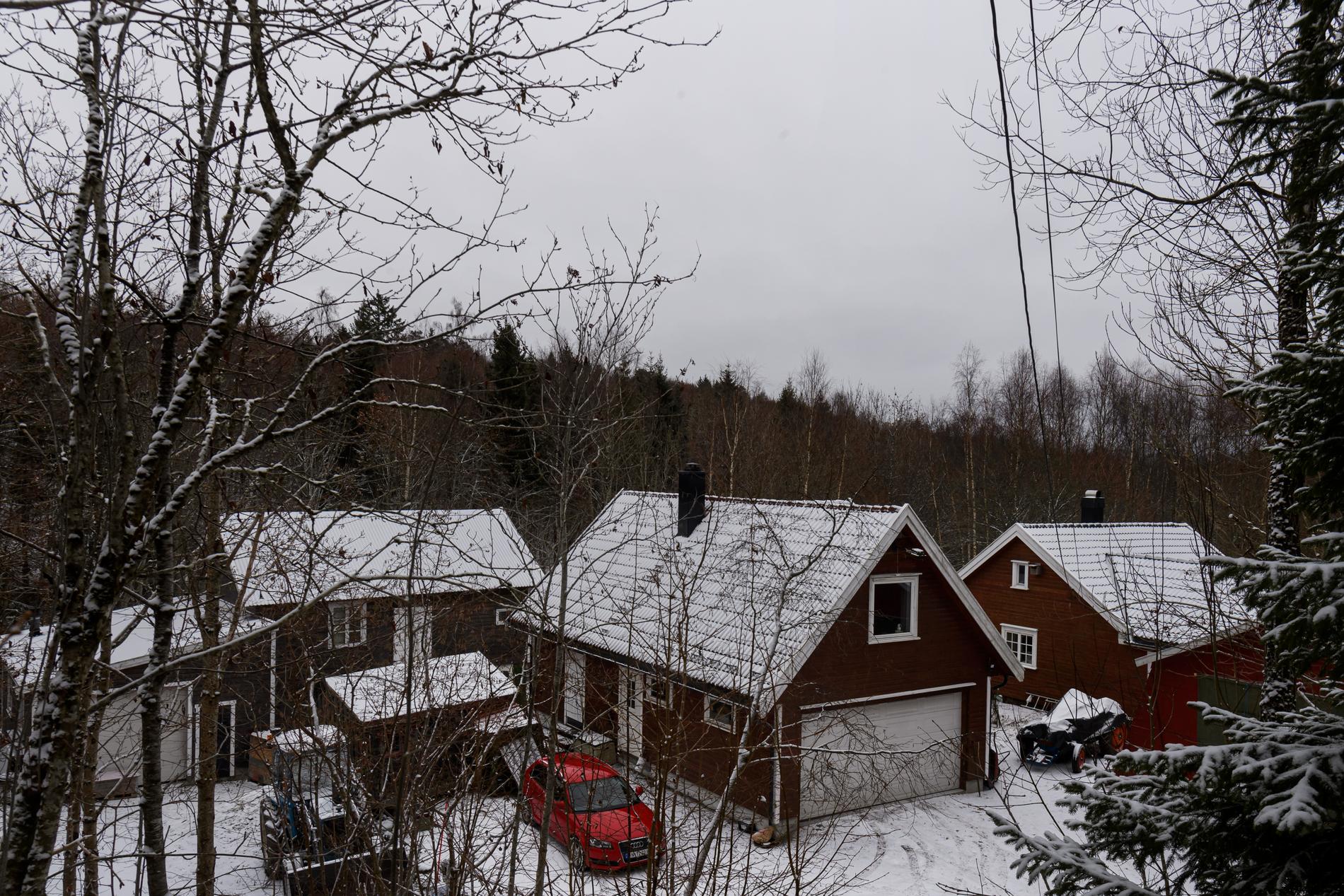 Terje Johansens gård i Nykirke. Helge Martin bor i det vänstra huset, Terje i det högra.