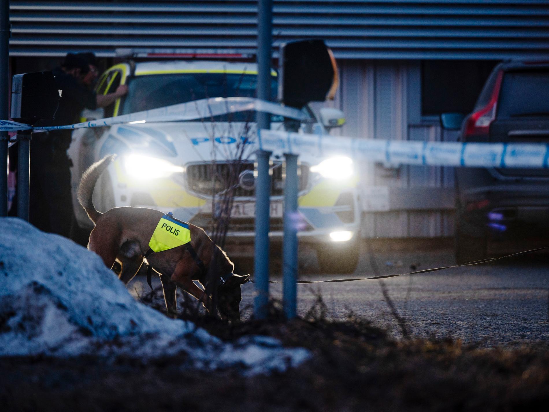 18 års fängelse för skjutning i Umeå