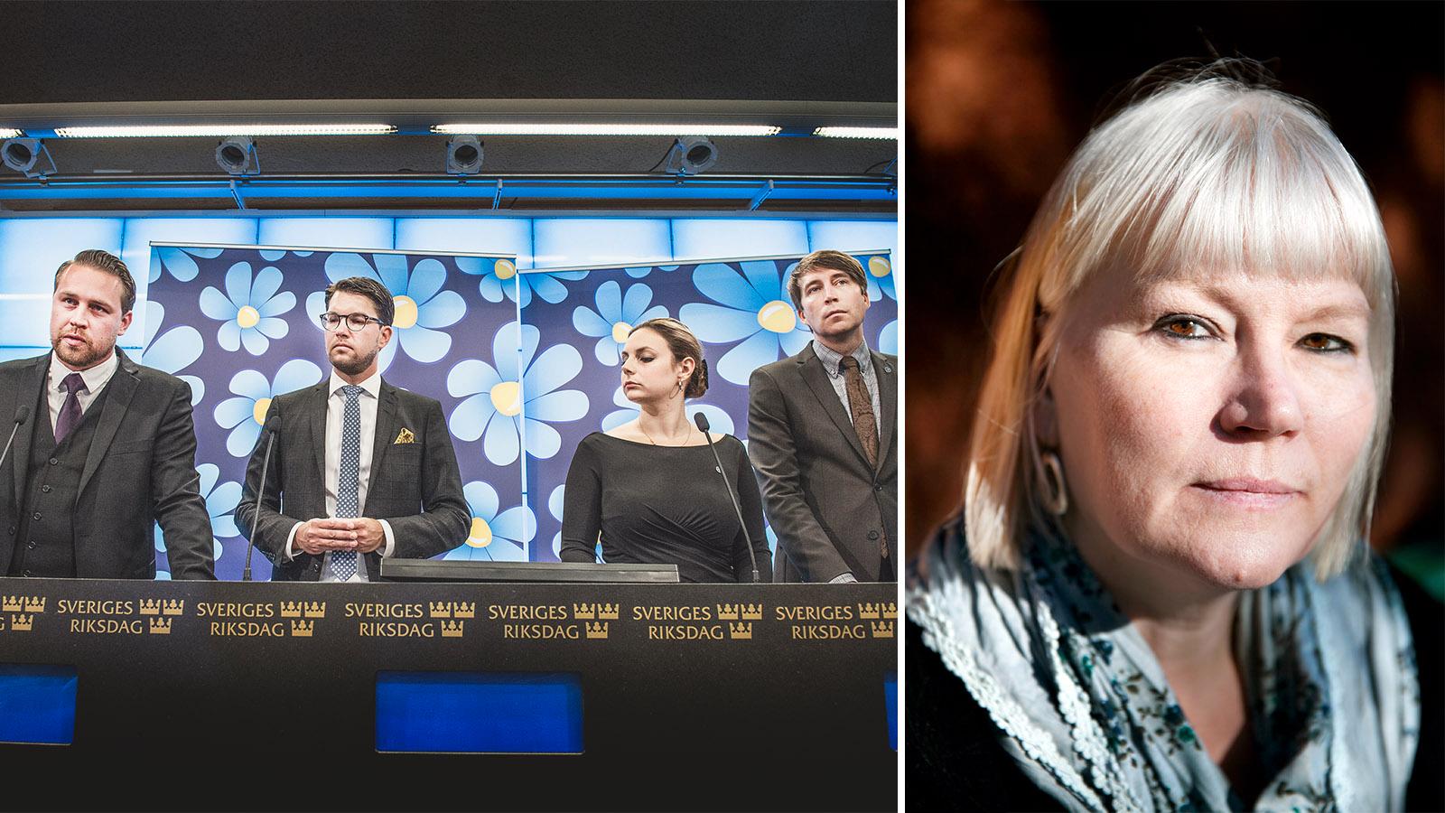 Anna-Lena Lodenius har granskat Sverigedemokraternas politik i en ny rapport. 