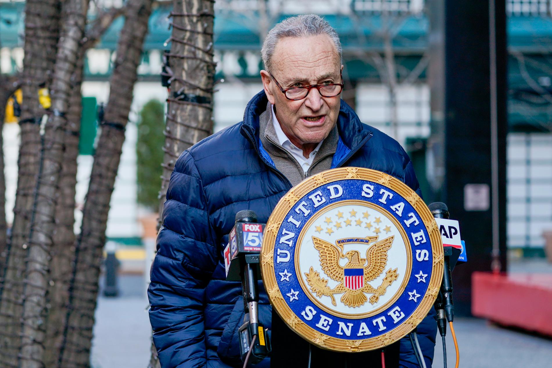 Senatens blivande majoritetsledare, demokraten Chuck Schumer, fotograferad i sin hemstad New York.
