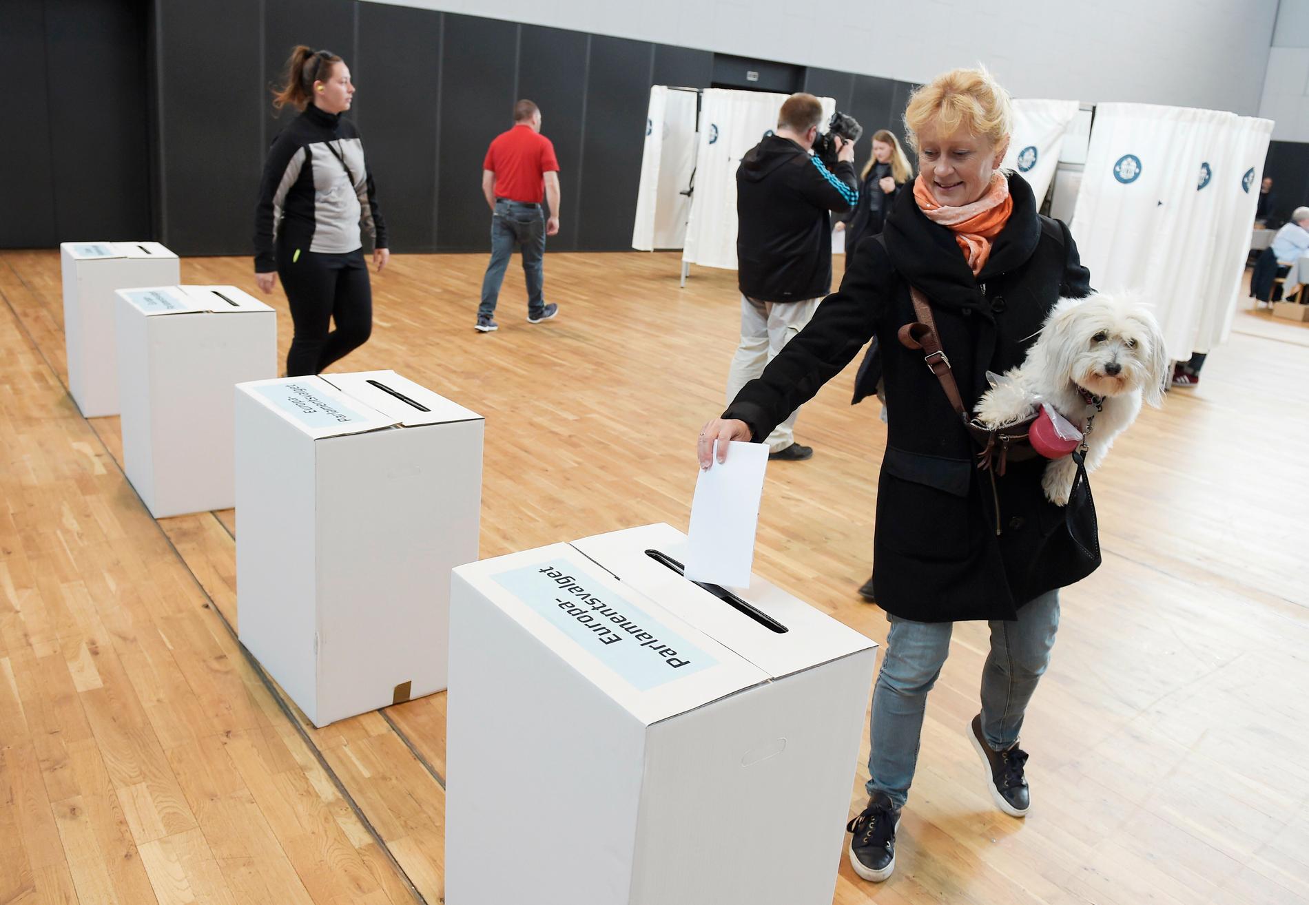 En väljare röstar i Aalborghallen i Aalborg, Denmark.