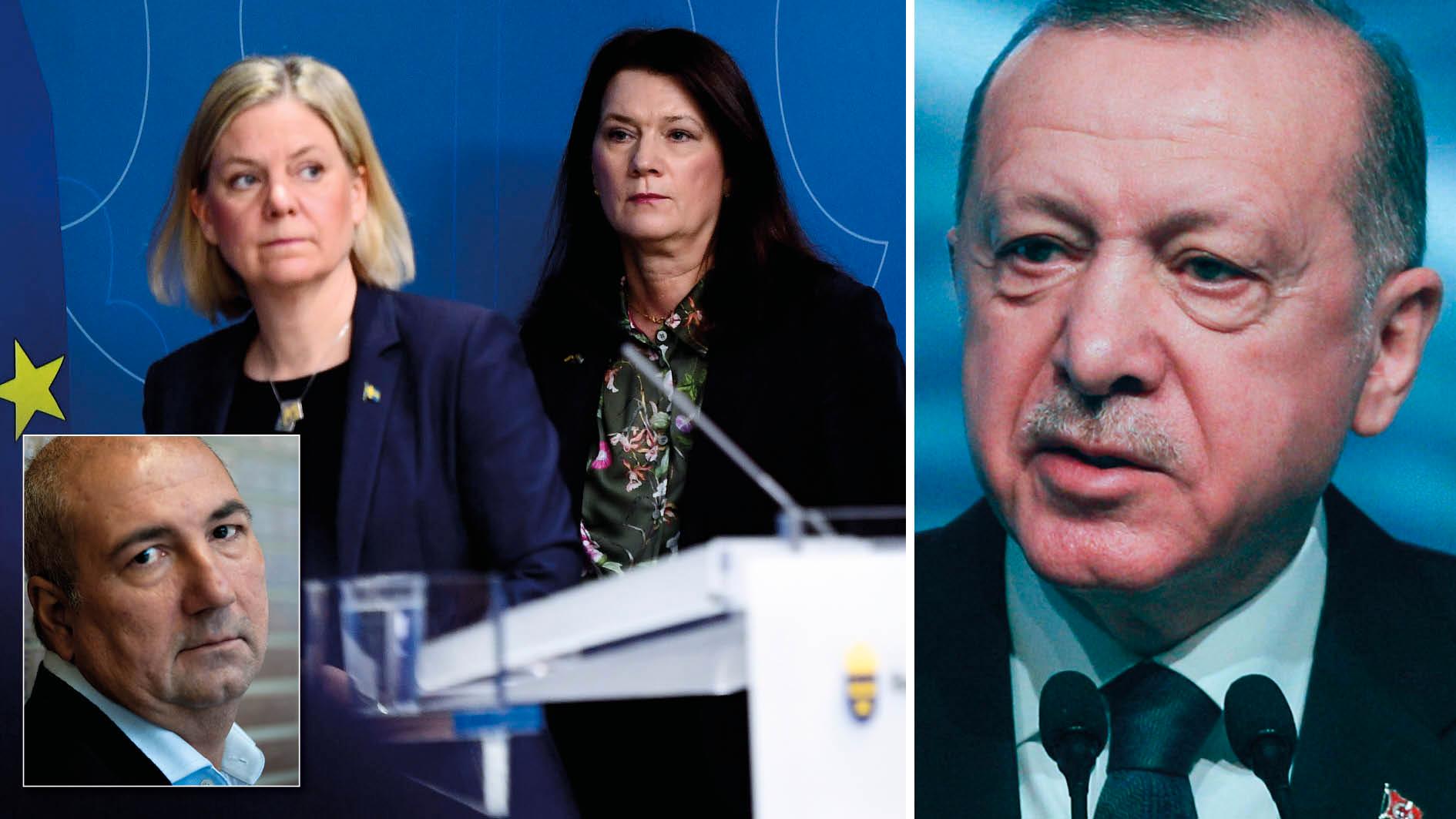 Sverige får inte tillåta despotiska ledare att exportera sitt yttrandefrihetsförbud till våra breddgrader. Det enda språk Erdogan förstår är att vara bestämd mot honom, skriver Kurdo Baksi.