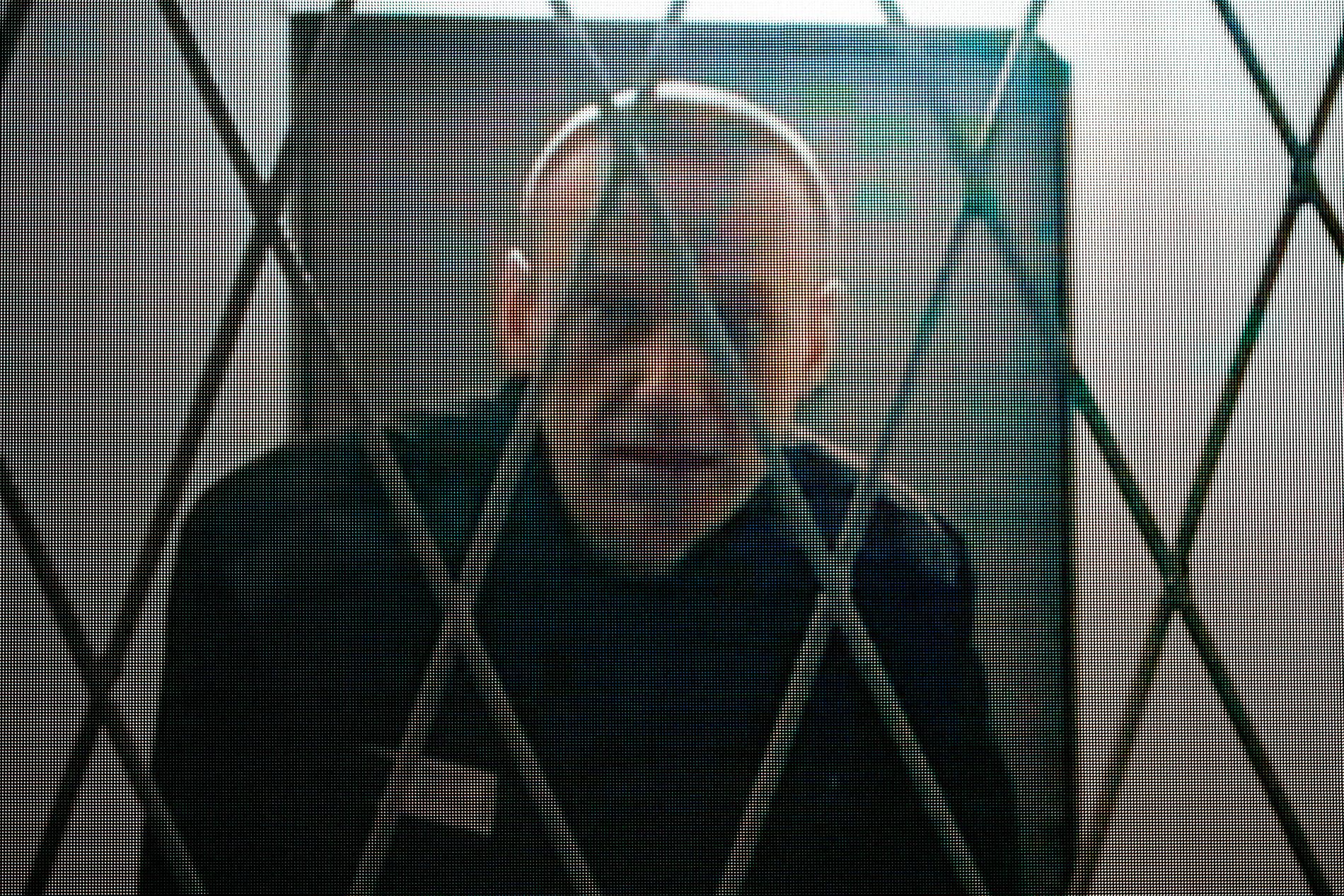 Aleksej Navalnyj bakom galler.