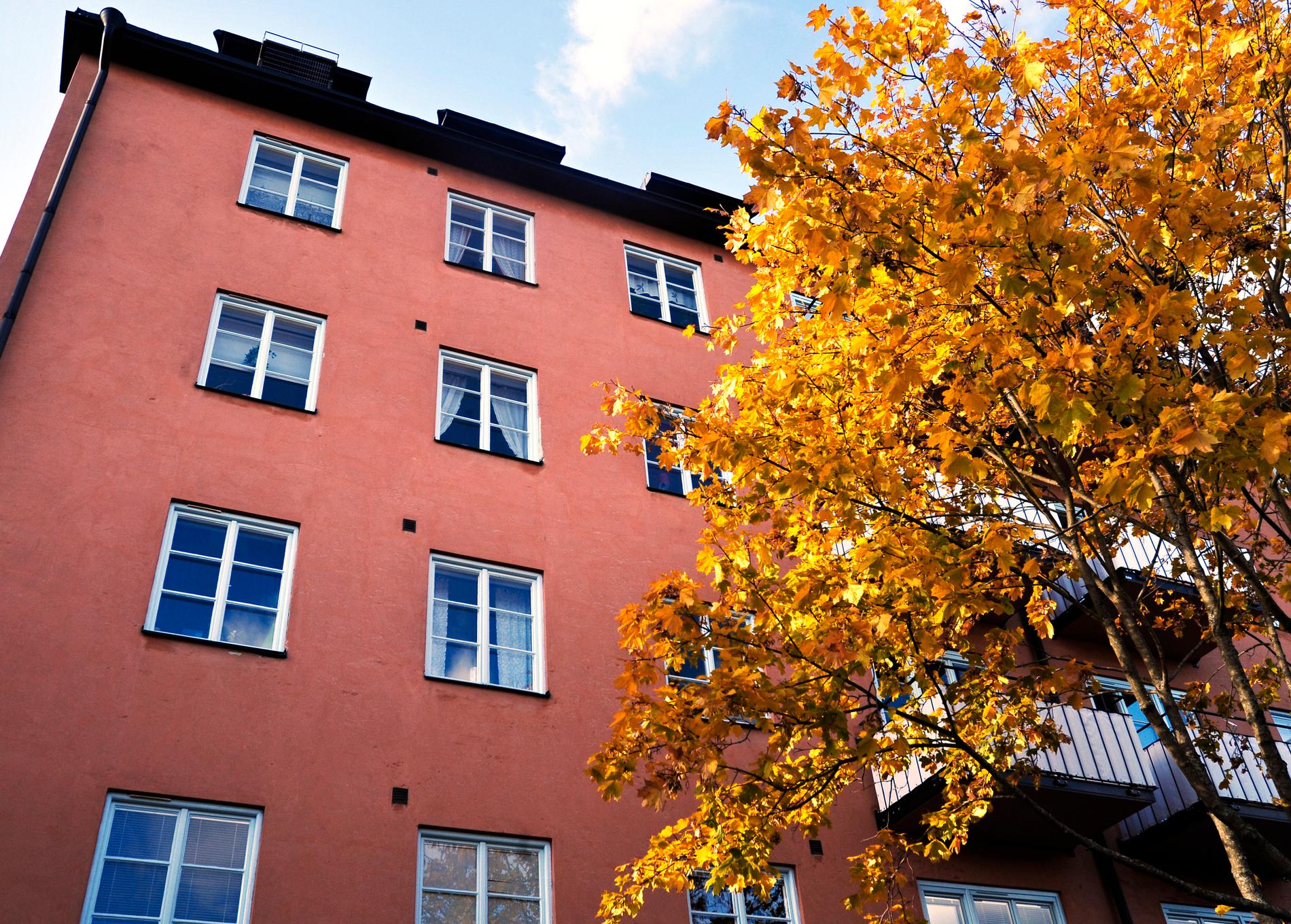 Hyreskoncernen Wallenstam har 11 800 lägenheter i Stockholm, Göteborg och Uppsala. Bilden är en arkivbild. 