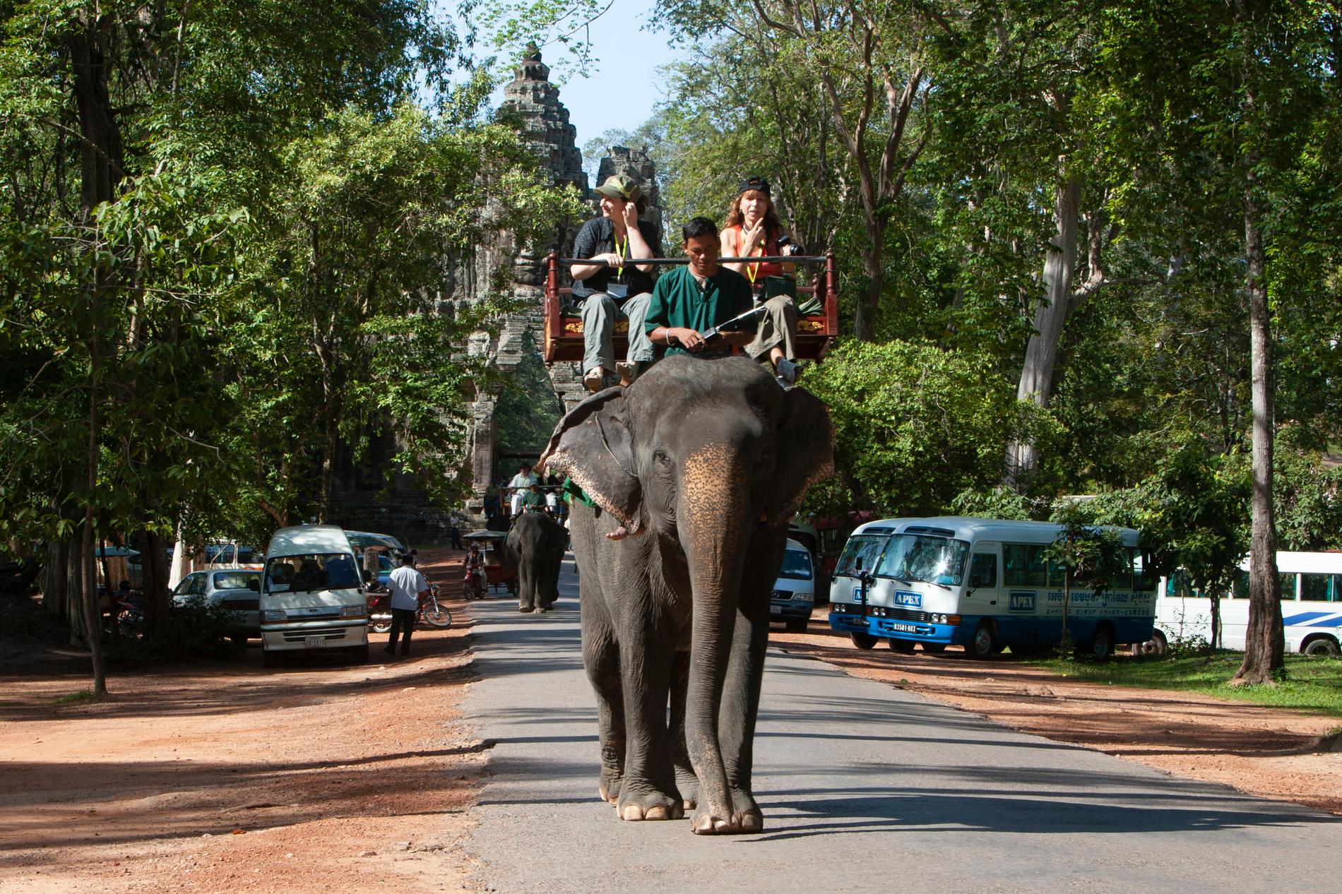 Turister rider på en elefant vid ruinstaden Angkor i Siem Reap i norra Kambodja. Arkivbild.