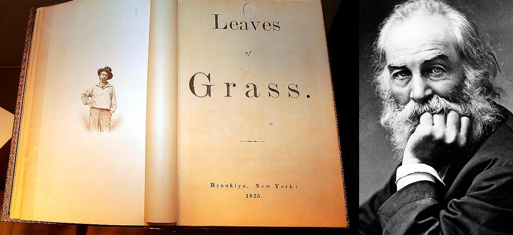 Amerikanske poeten Walt Whitman föddes den 31 maj för 200 år sedan. Han skrev om sitt storverk ”Leaves of grass” tio gånger under sin livstid.