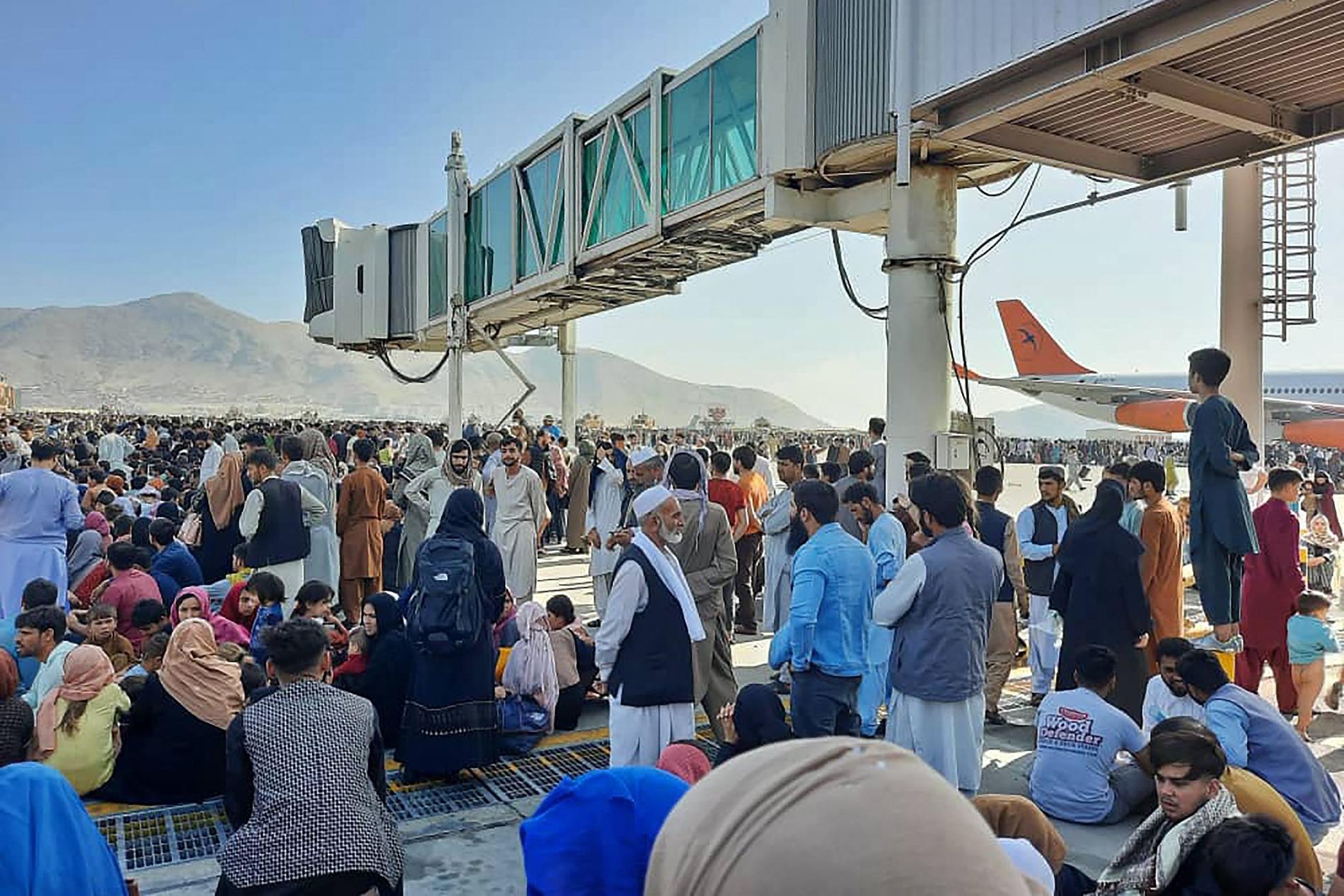 Människomassor har sökt sig till flygplatsen i Kabul på flykt undan talibanerna. 