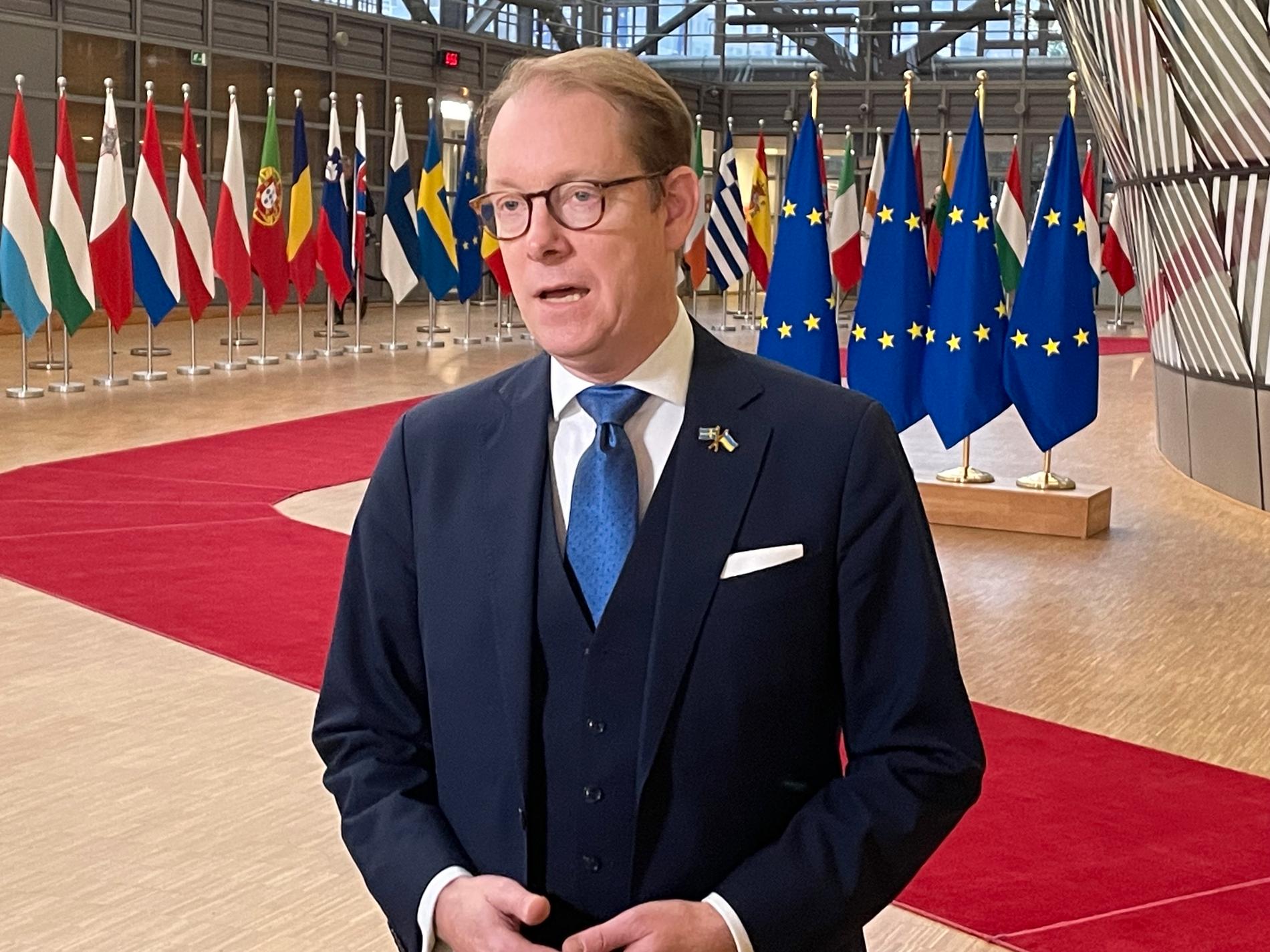 Utrikesminister Tobias Billström på väg in till måndagens EU-möte i Bryssel.