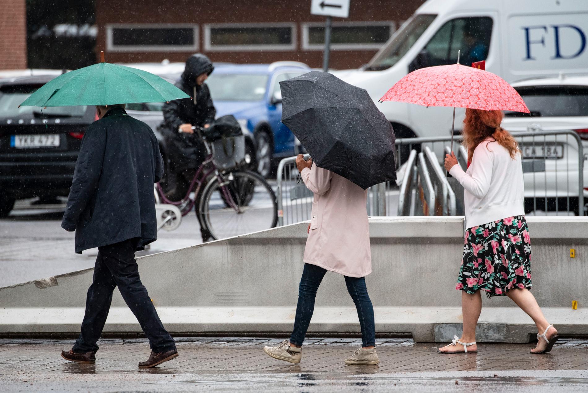 SMHI har utfärdat risk för stora regnmängder i delar av södra Sverige. Arkivbild.