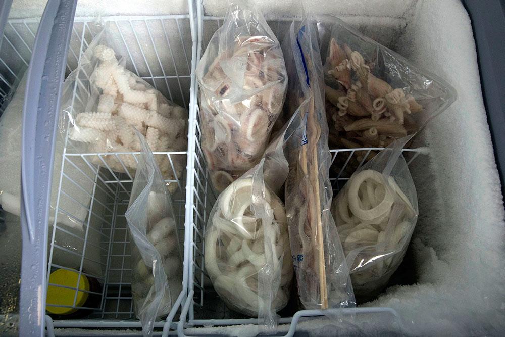 Frusen bläckfisk förvaras i industrin Yanbian Shenghai and Trade Co, ett företag som hyr in nordkoreanska arbetare i Hunchun, Kina. 
