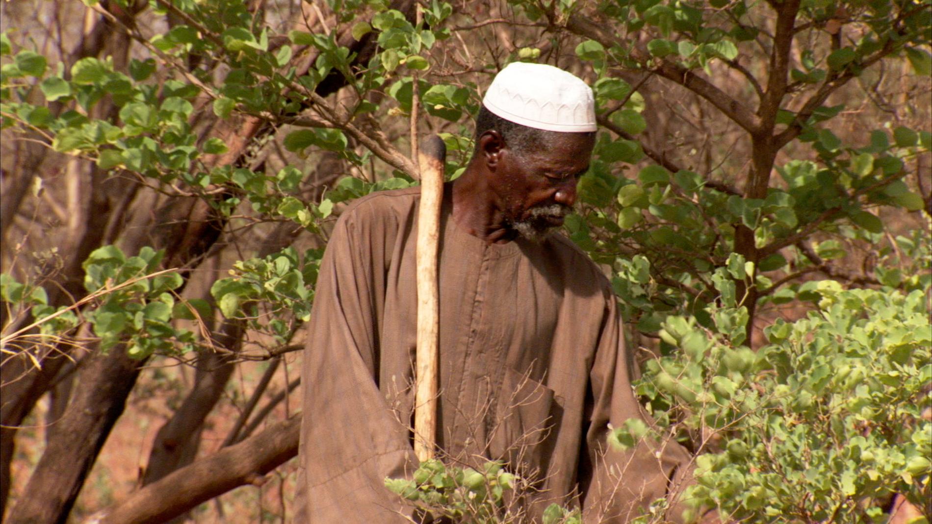 Jordbrukaren Yacouba Sawadogo i sin skog i västafrikanska Burkina Faso, ett land svårt drabbat av torka och matbrist.