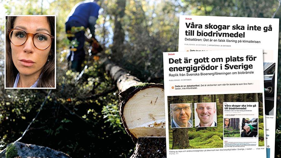 Förstörelsen av svensk naturskog saknar globalt motstycke; över 90 procent av den svenska skogen har redan påverkats av skogsbruk, skriver Lina Burnelius.