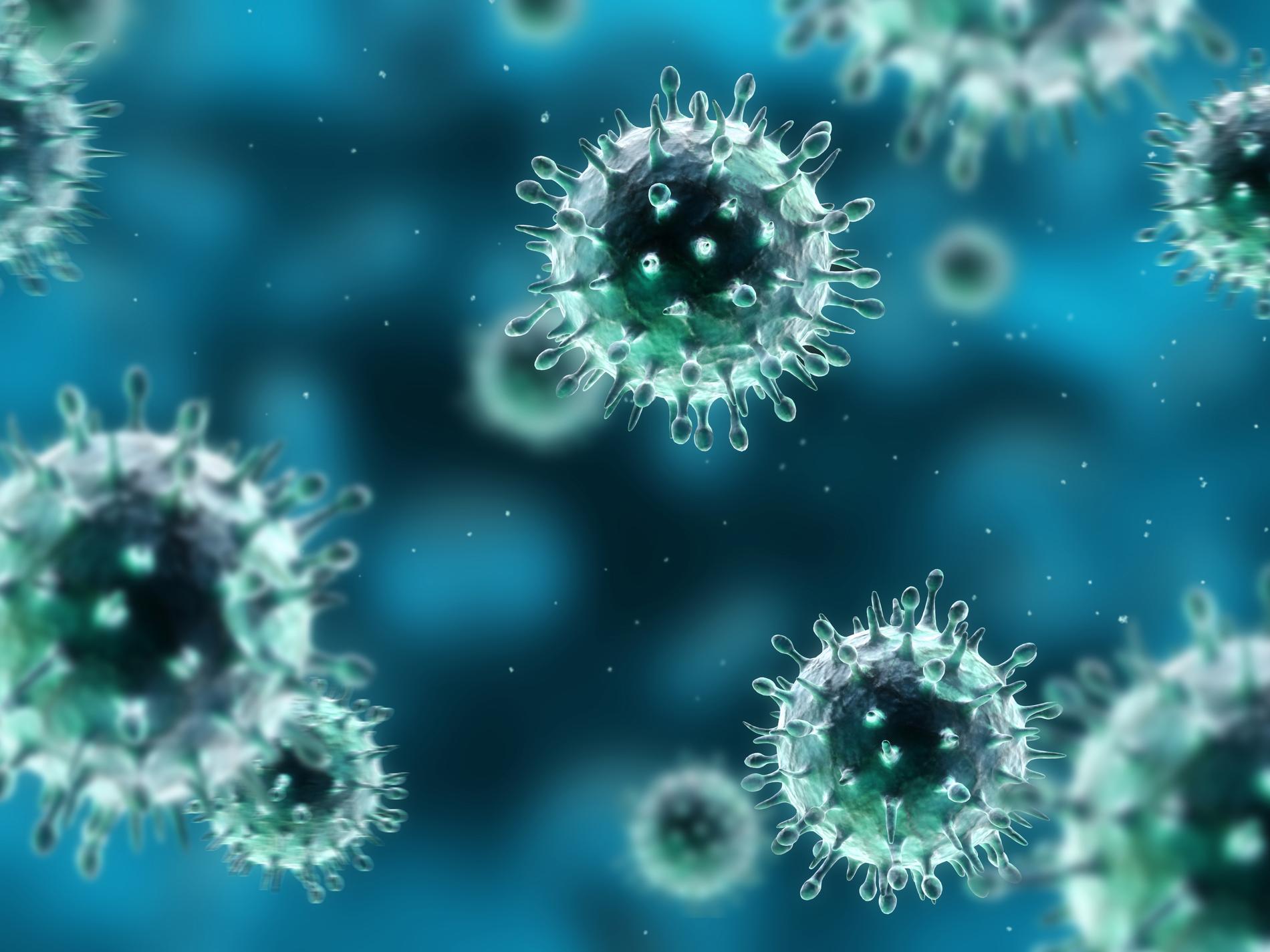 Viruset H1N1, Svininfluensan