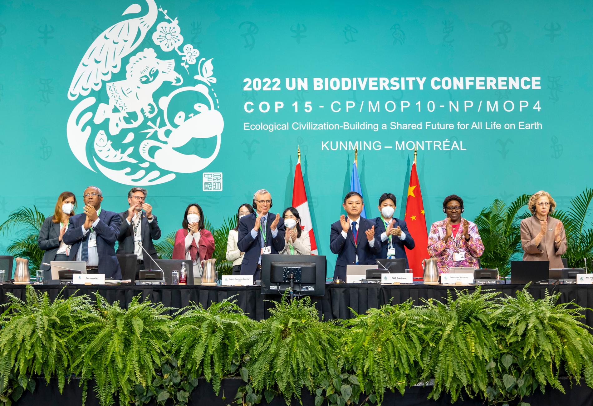 Applåder bröt ut när länderna enades om ett historiskt avtal för naturen.