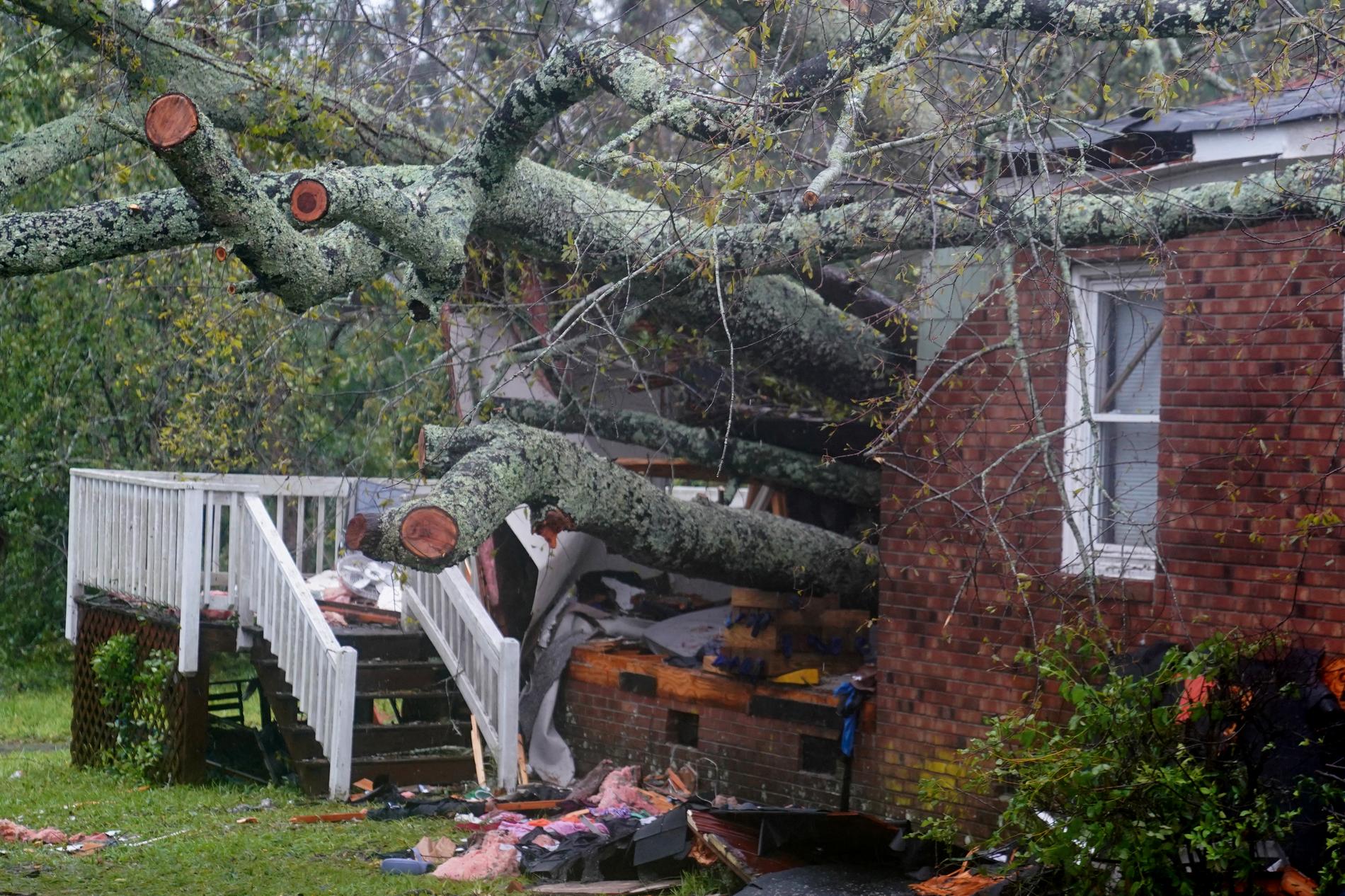 Huset i Wilmington där en mamma och hennes bebis ska ha dött efter att ett träd fallit över dem. 
