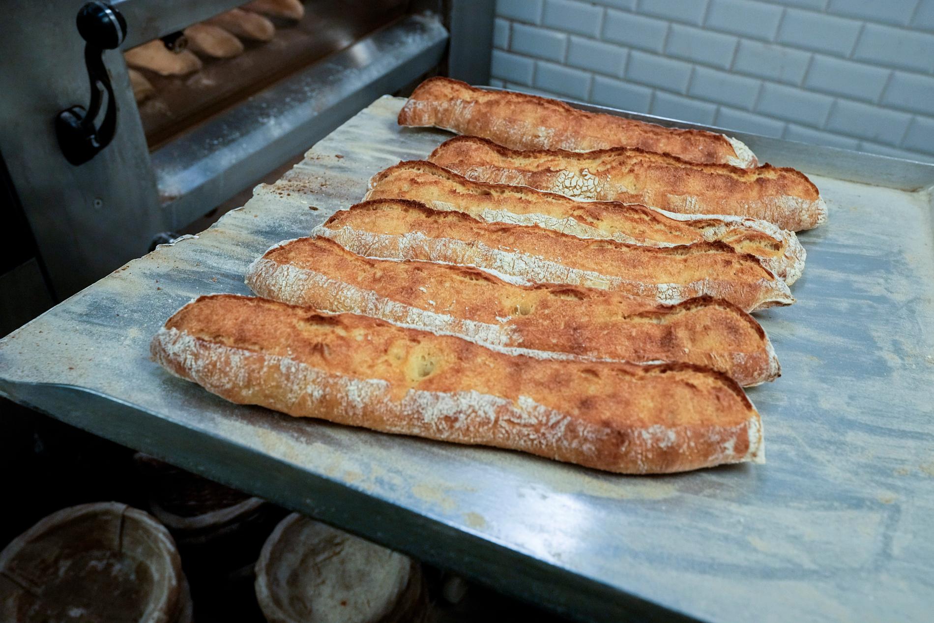 Världens äldsta bröd ska enligt Guinness världsrekordbok vara runt 14 400 år gammalt. Brödet på bilden är betydligt färskare.