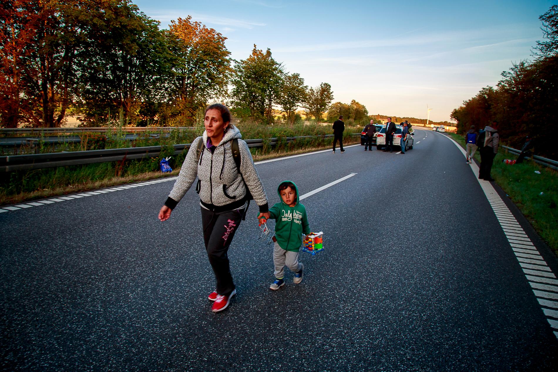 Flyktingar vandrar genom Danmark på väg till Sverige.