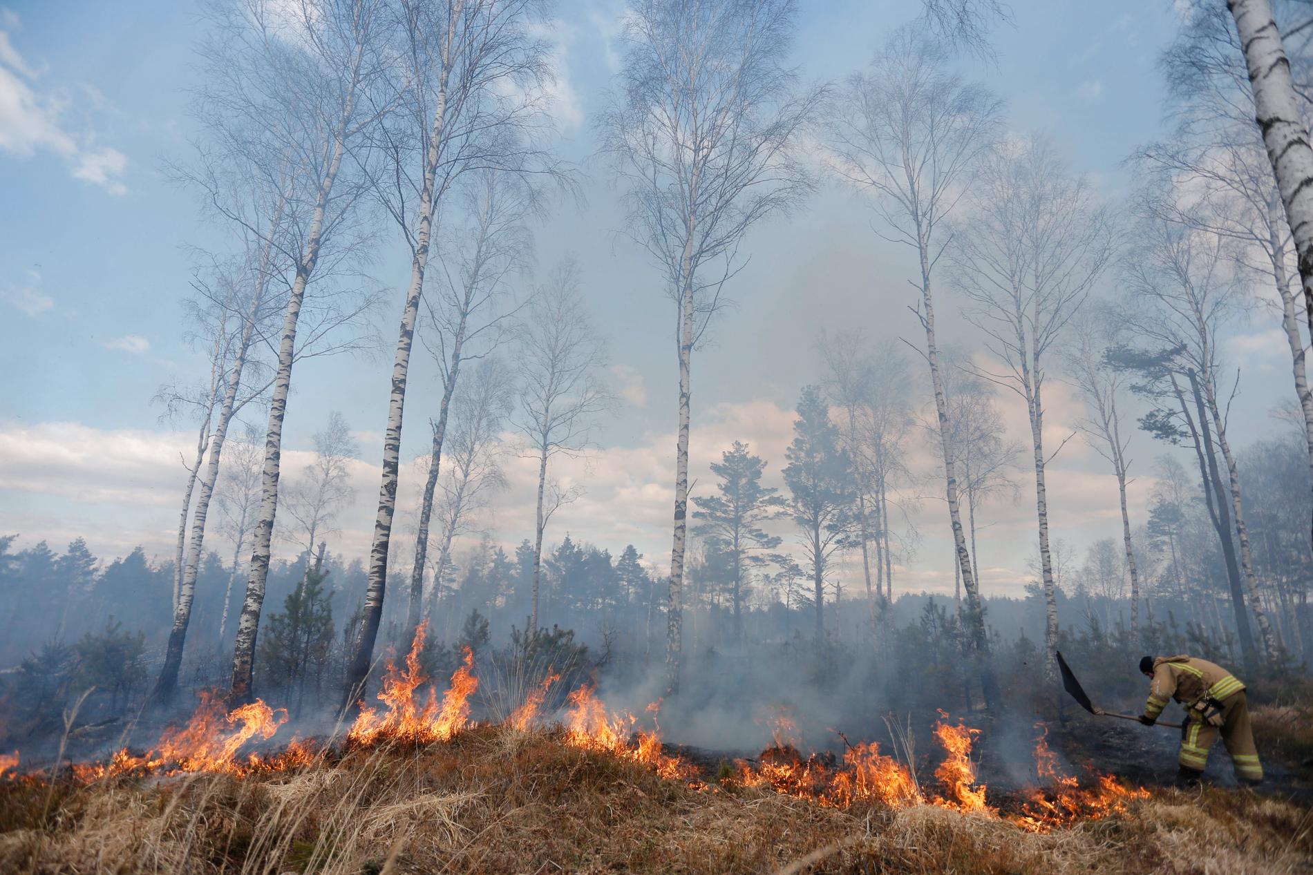 I stora delar av södra och mellersta Sverige ligger varningar för risk för gräsbränder utfärdade. Arkivbild.
