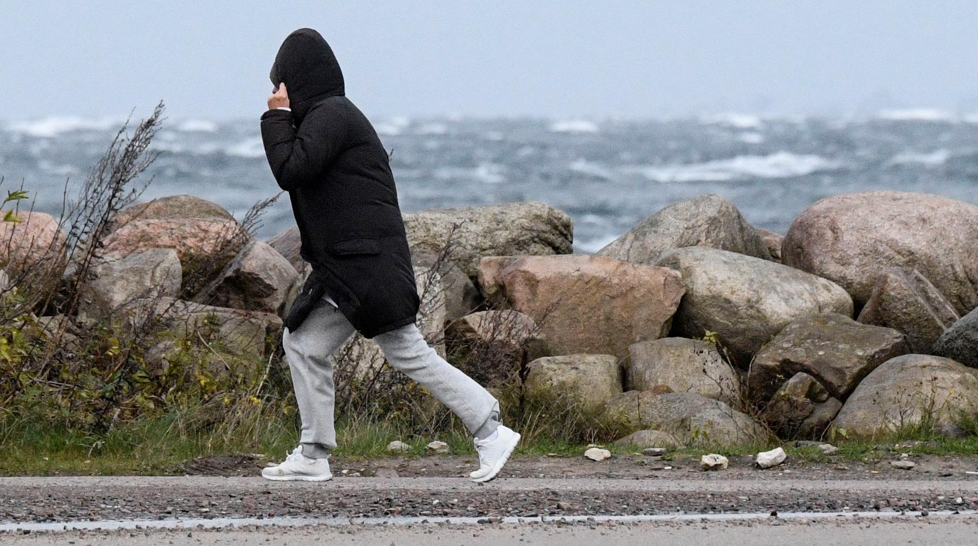 SMHI klass 1-varnar för mycket hårda vindar i delar av norra Sverige. Arkivbild.