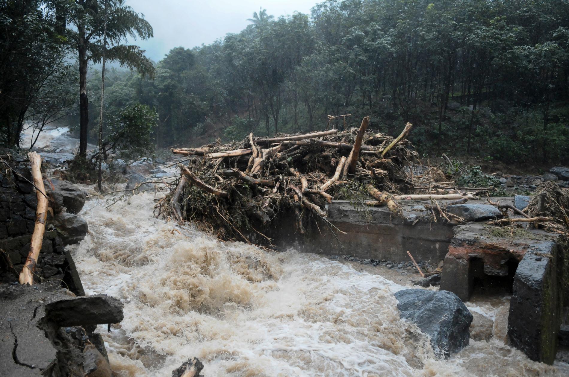 Minst 34 personer har dött i översvämningar i indiska Kerala. Bild från 9 augusti.
