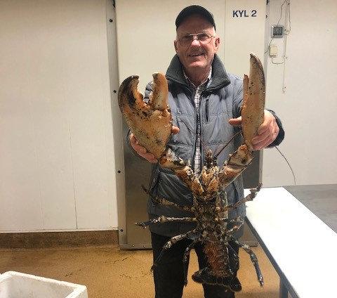 Fiskaren Jonny Andersson med sin nästan fem kilo tunga hummer.