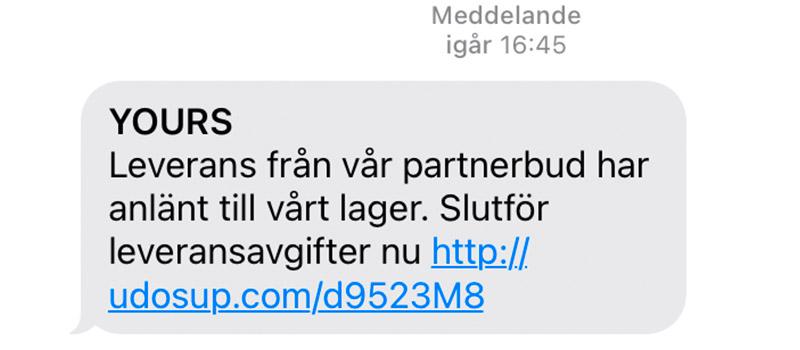 Ett av de bluff-sms som just nu skickas ut till många svenskar. 